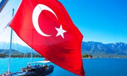В Турции выявили нелегальных букмекеров
